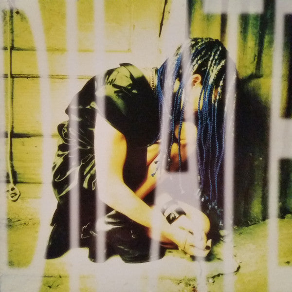 Ani DiFranco : Dilate (CD, Album)