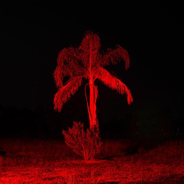 Zeahorse : Torana Dreamin (LP, Album, Num)