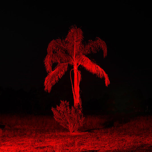 Zeahorse : Torana Dreamin (LP, Album, Num)