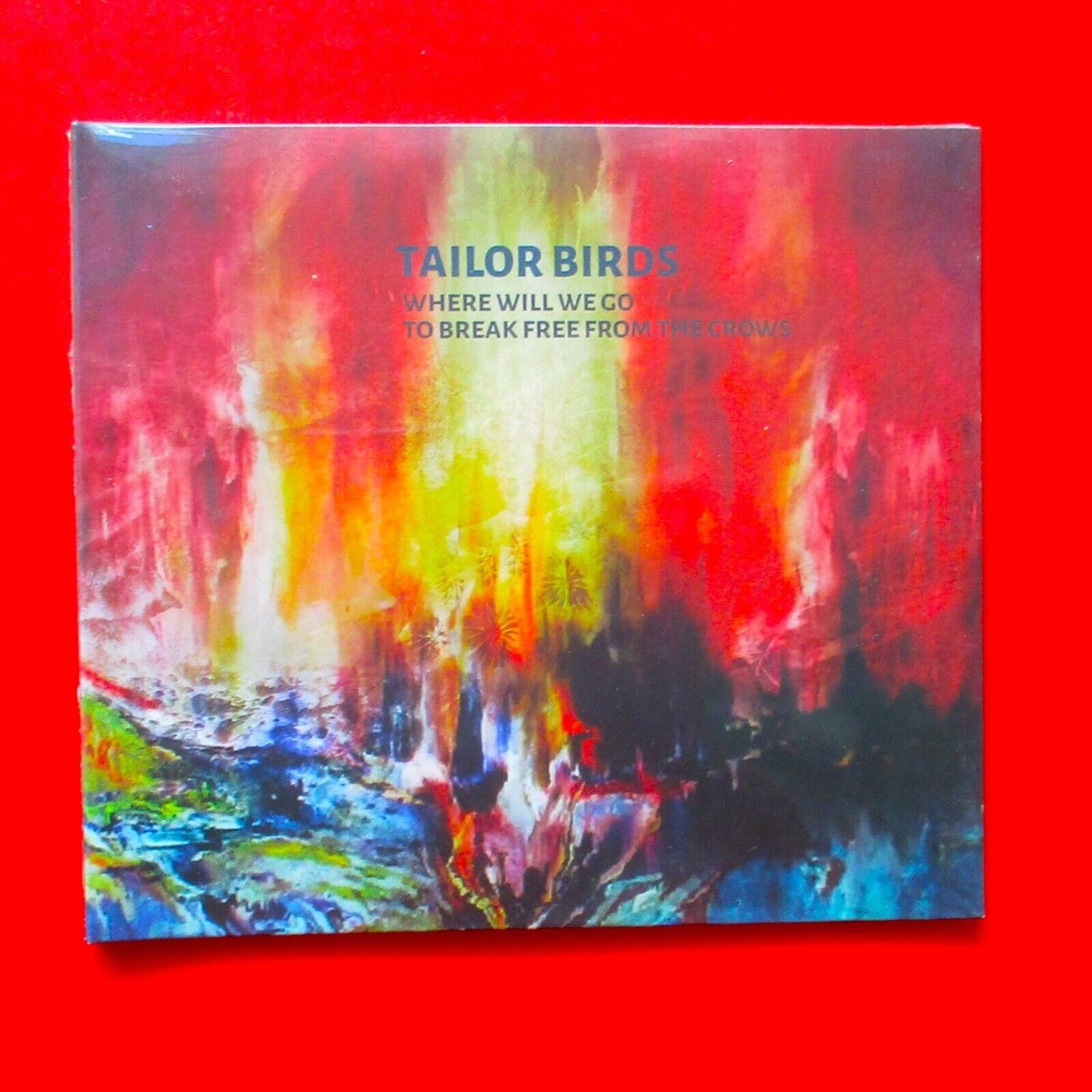 Tailor Birds Where Will We Go To Break Free From The Crows 2018 CD EP Folk