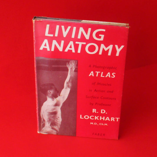 Living Anatomy A Photographic Atlas of Muscles by R. D. Lockhart 1962 Hardcover
