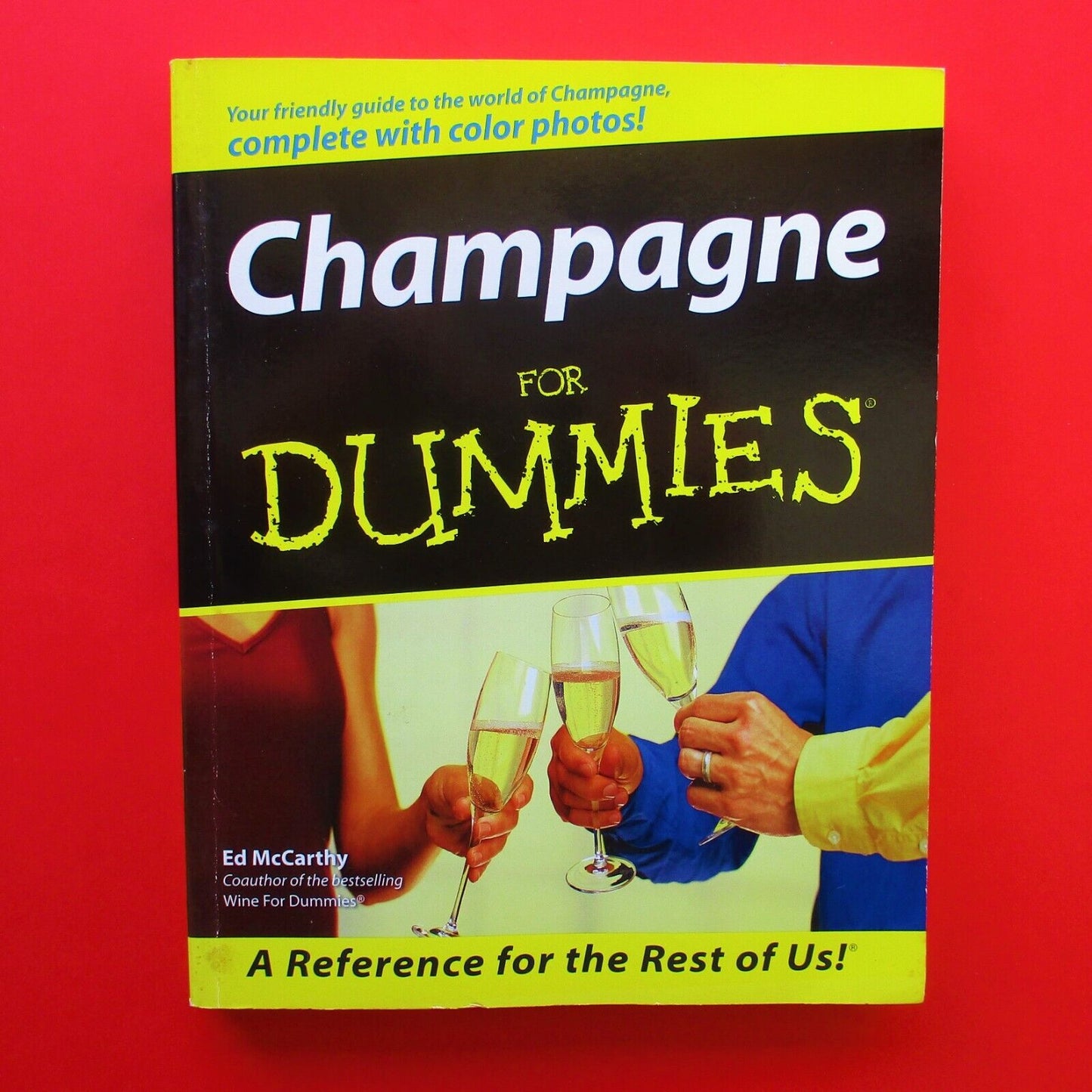 Champagne for Dummies by Ed McCarthy 1999 Paperback