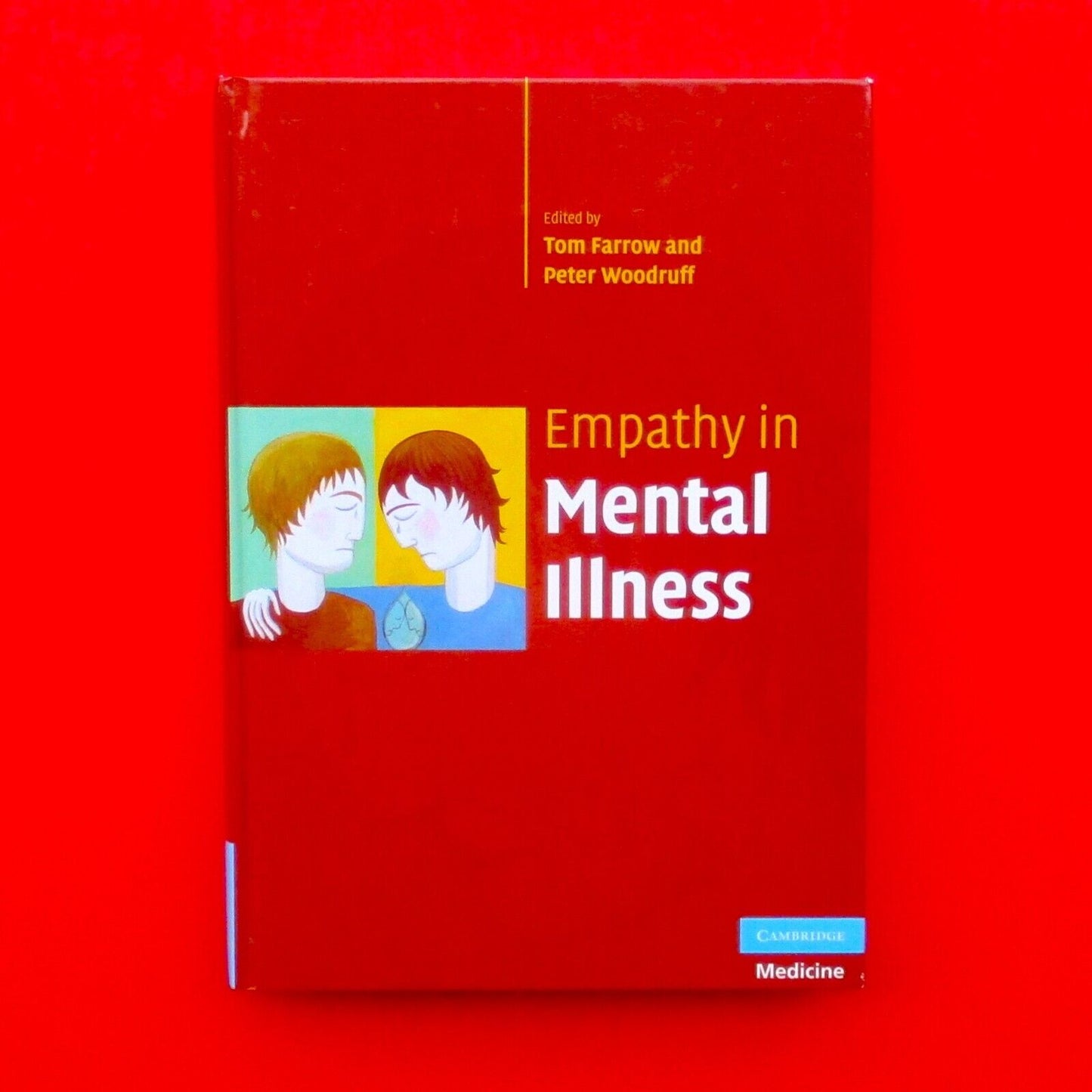 Empathy in Mental Illness by Tom F. D. Farrow