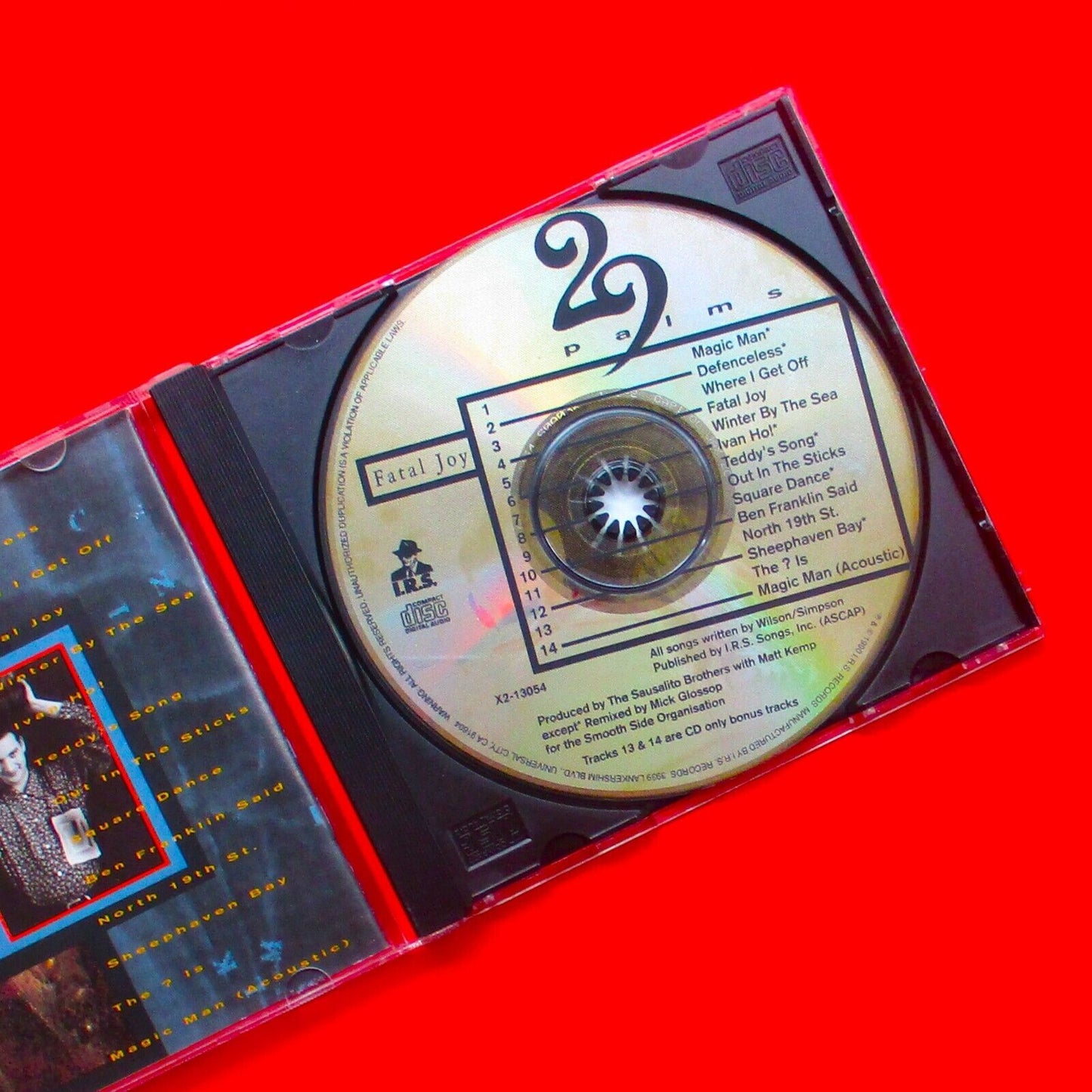 29 Palms Fatal Joy 1990 US CD Album Folk Rock