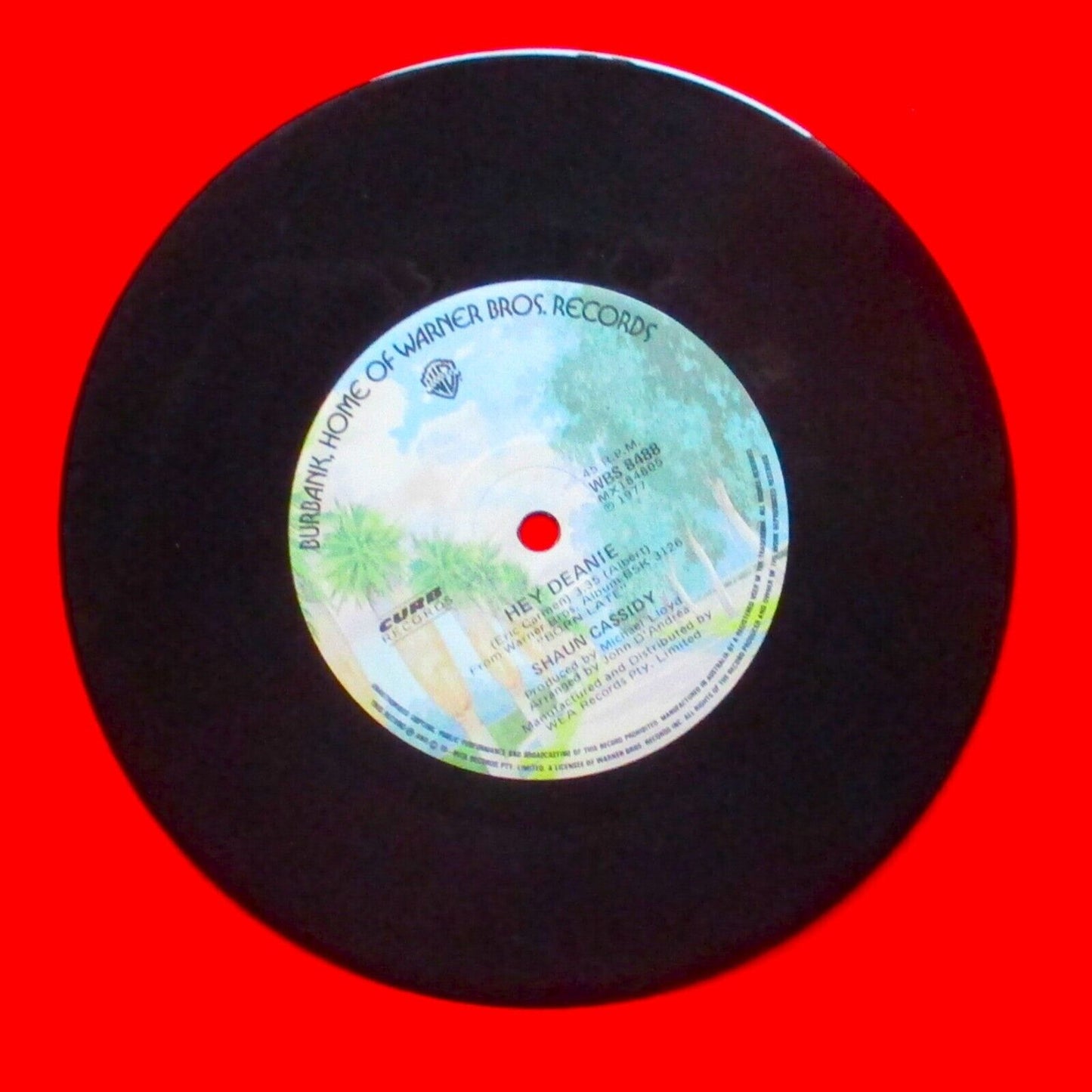 Shaun Cassidy ‎Hey Deanie Vinyl 7" Single