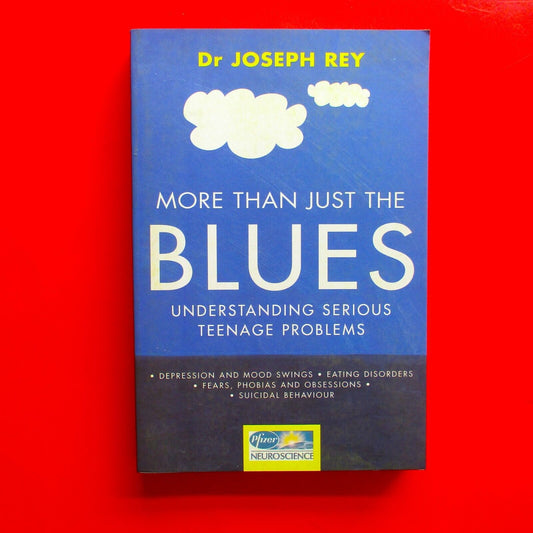 More Than Just the Blues: Understanding Serious Teenage Problems Paperback Book